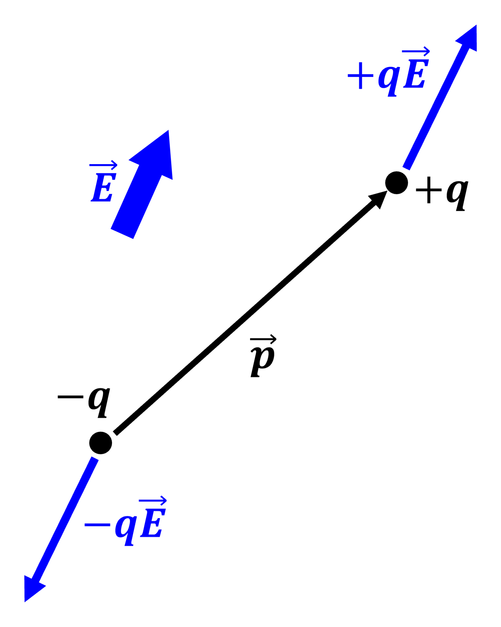 電気双極子 電気双極子モーメント電磁気学入門